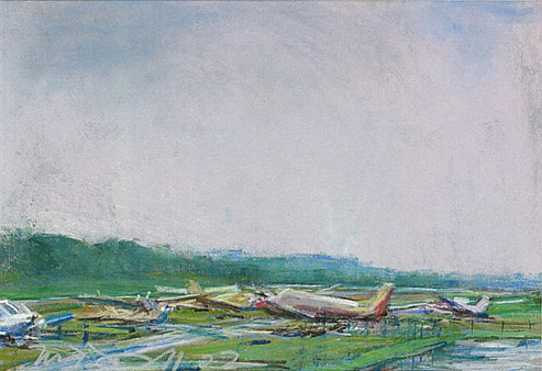 Wings Field (II); pastel on paper; 11.5"x17.5"